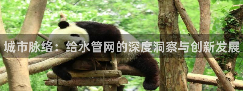 富邦天娱娱乐有限公司