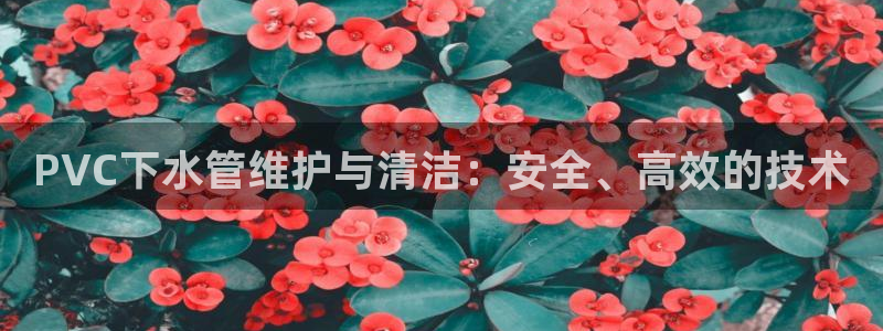 富邦电子娱乐网址送20