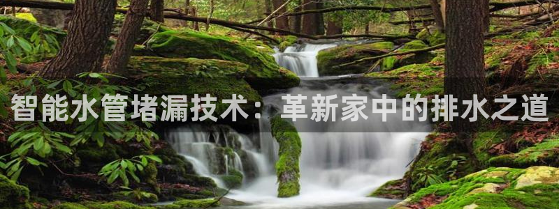 富邦娱乐团购卡怎么用