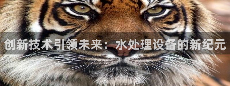 富邦娱乐团购怎么样
