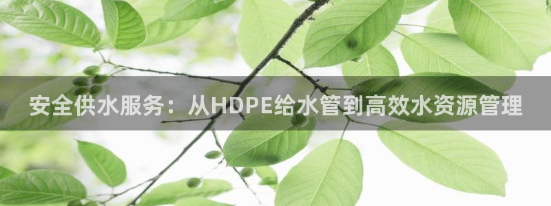 富邦娱乐场线路