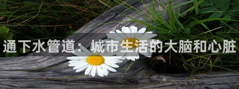 富邦现场娱乐