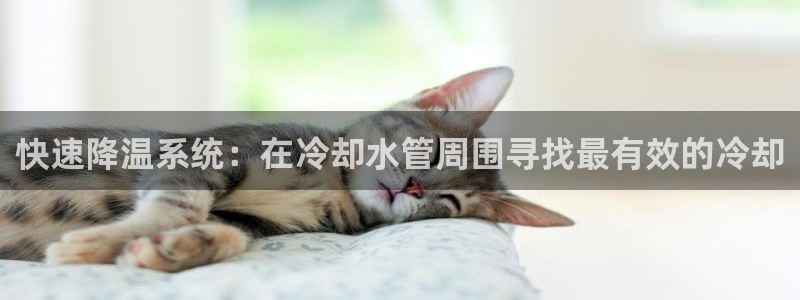 杭州富邦娱乐会所