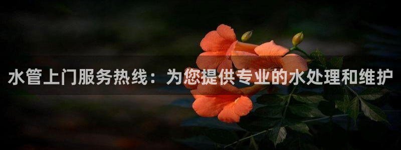临平富邦佳丽娱乐会所