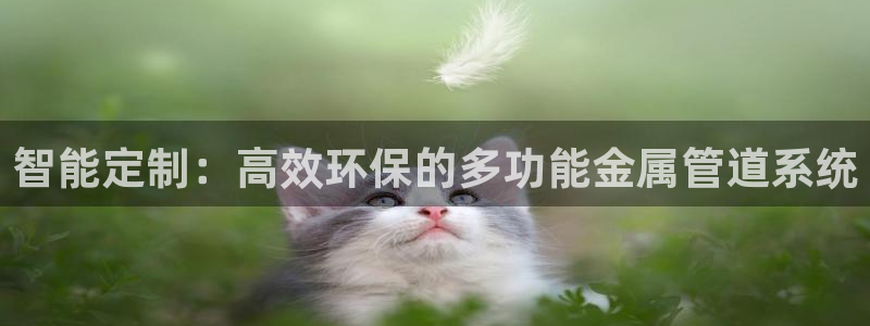 富邦娱乐澳门娱乐