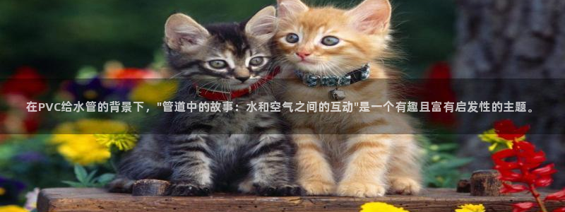 富邦娱乐团购怎么样啊