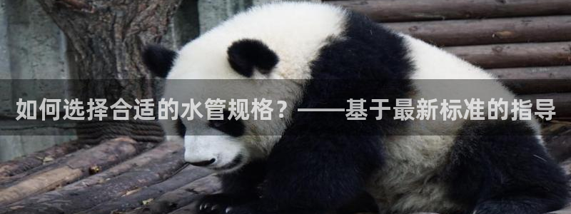 杭州富邦娱乐会所 MM挑选到满意