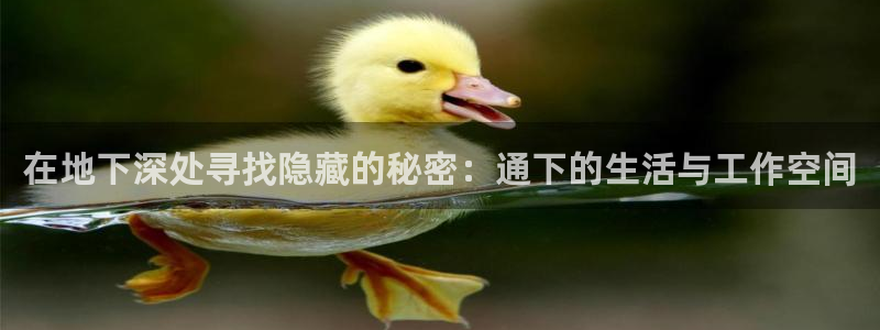 富邦娱乐注册上全狐网