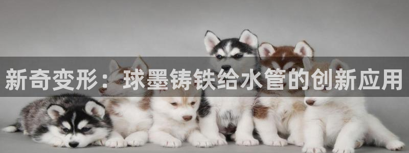 菲律宾富邦娱乐