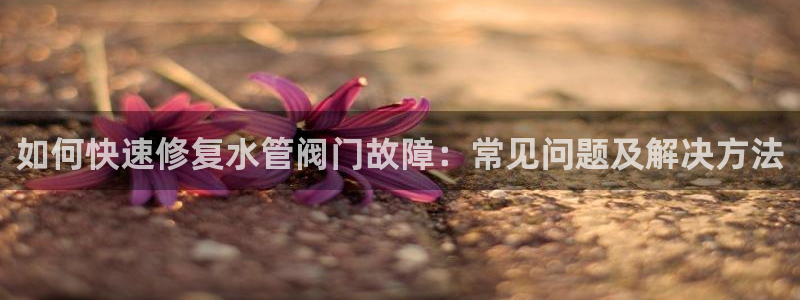富邦佳丽娱乐厅