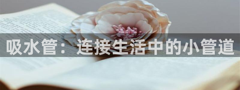 富邦娱乐团购卡怎么用啊
