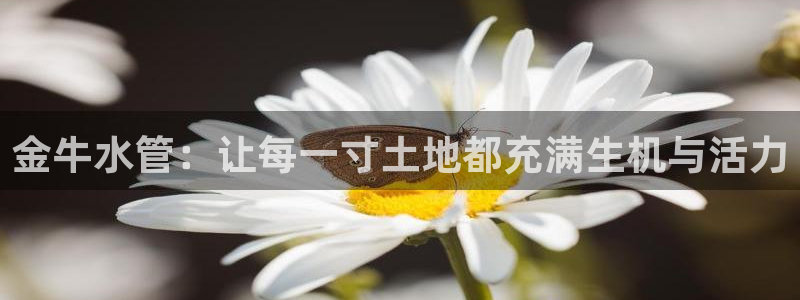 富邦娱乐线路