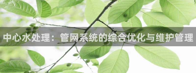 富邦娱乐官网上全狐网
