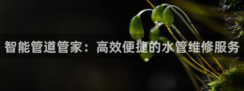 富邦娱乐计划