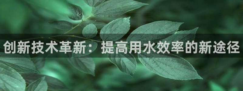 邦富娱乐国际