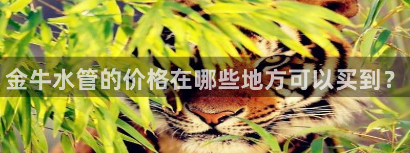 富邦娱乐平台登录网址