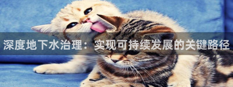 富邦娱乐国际