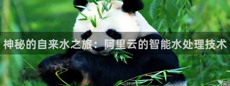 富邦娱乐国际会所杭州