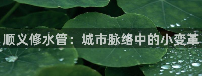 富邦娱乐-上全狐网