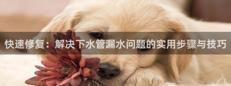富邦翡翠娱乐怎么样