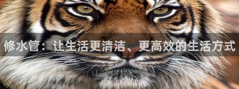 屏山富邦娱乐会所电话
