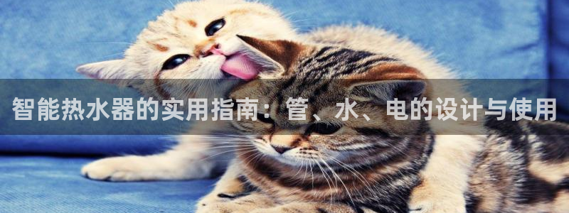 富邦娱乐app的三个版本