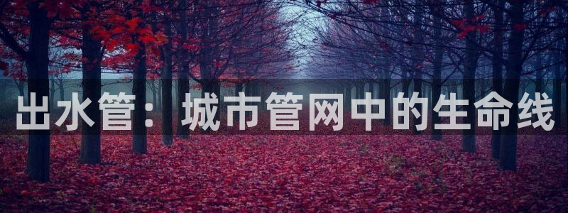 富邦club娱乐网址