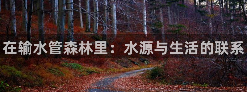 富邦娱乐官网-上全狐网