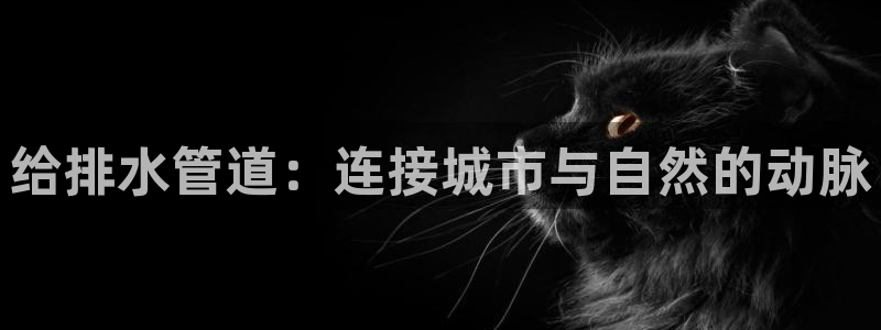 富邦娱乐注册上全狐网