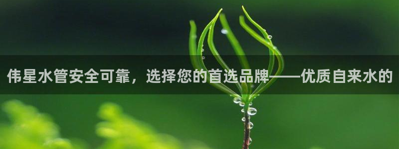 富邦娱乐有限公司怎么样