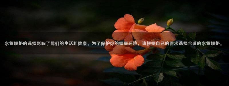 富邦娱乐平台-皇恩靠谱