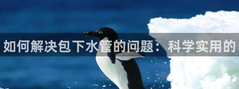 临平富邦娱乐场所