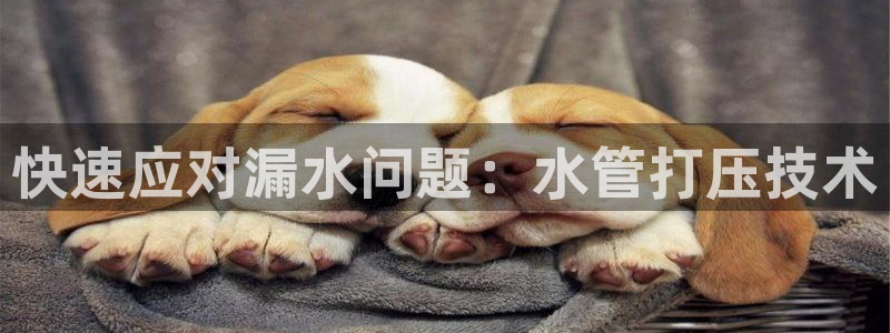 杭州临平富邦娱乐厅地址