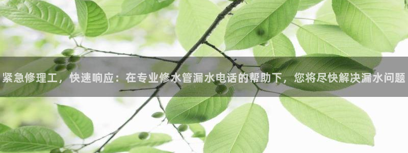 富邦娱乐 全礴网