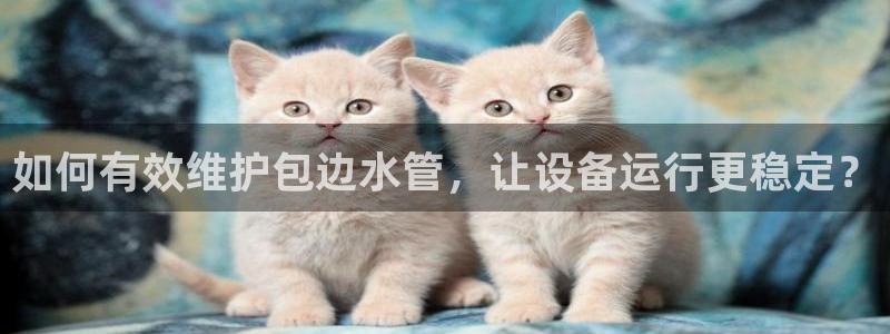 屏山富邦娱乐会所电话