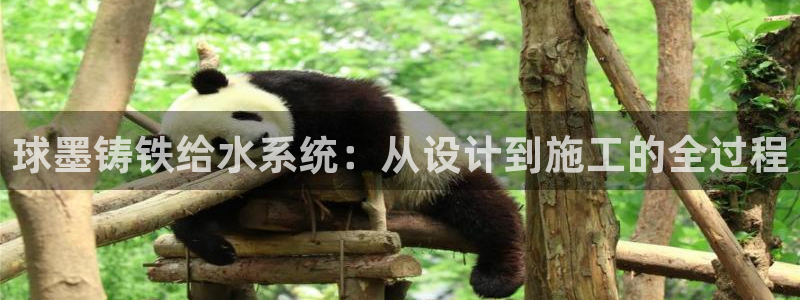 屏山富邦娱乐会所地址查询