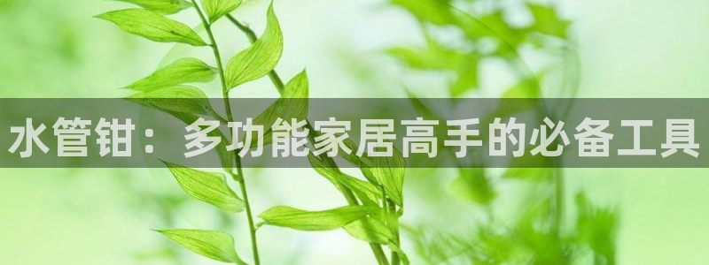 富邦娱乐注册 全礴网