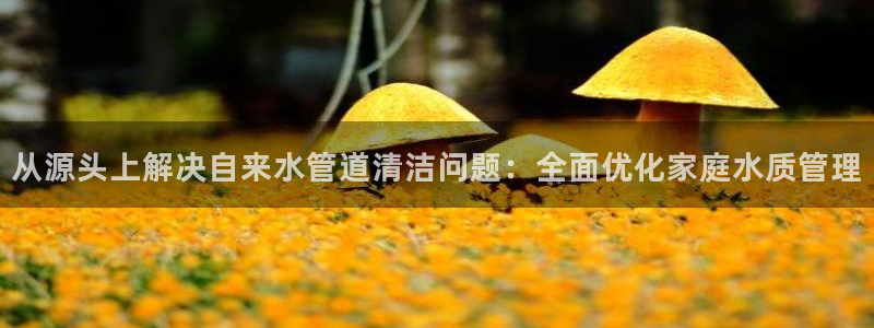 富邦娱乐彩票官网