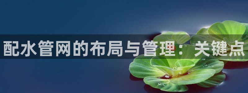 富邦娱乐团购活动时间表