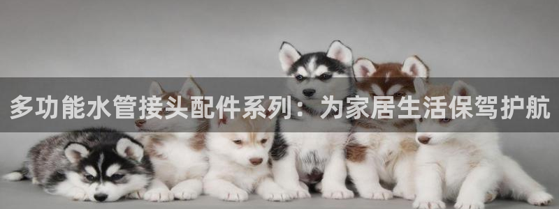 富邦娱乐代理注册