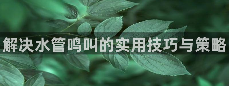 富邦娱乐平台-皇恩靠谱