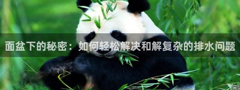 临平富邦娱乐总监山鸡